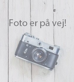 foto-paa-vej_2